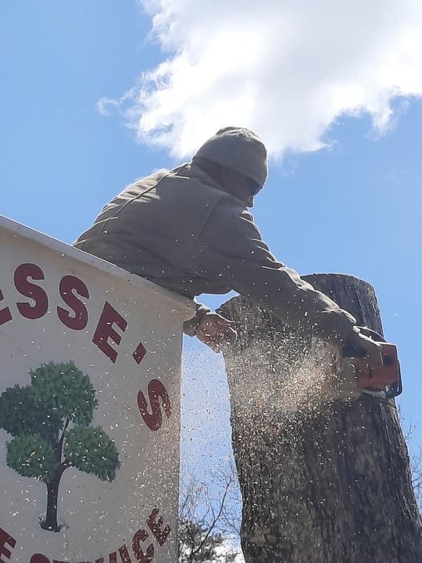 Jesses Tree Service tree work photo